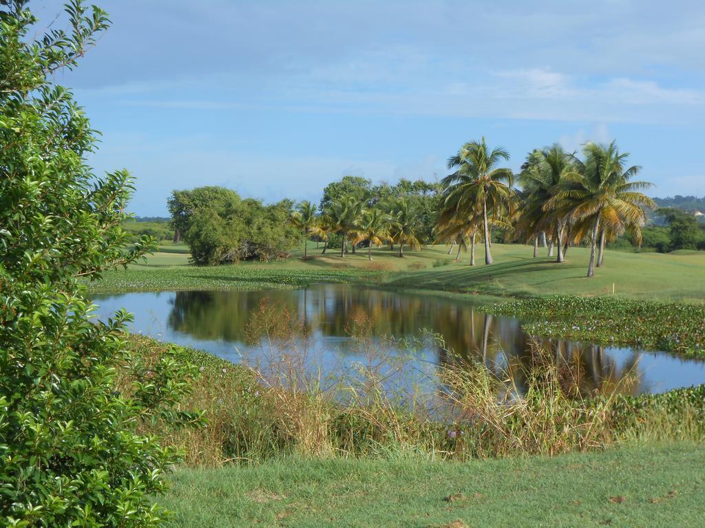 Villa Sans-Souci Lowlands Kültér fotó